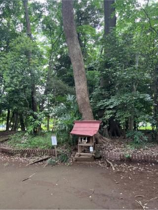今宮神社(氷川女體神社境内社)の参拝記録(⛩️🐍🐢まめ🐢🐍⛩️さん)