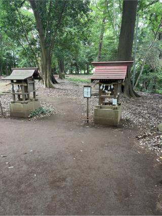 石上神社(氷川女體神社境内社)の参拝記録(⛩️🐍🐢まめ🐢🐍⛩️さん)