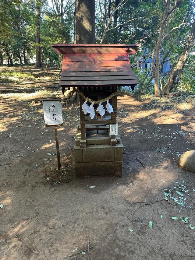 石上神社(氷川女體神社境内社)の参拝記録9