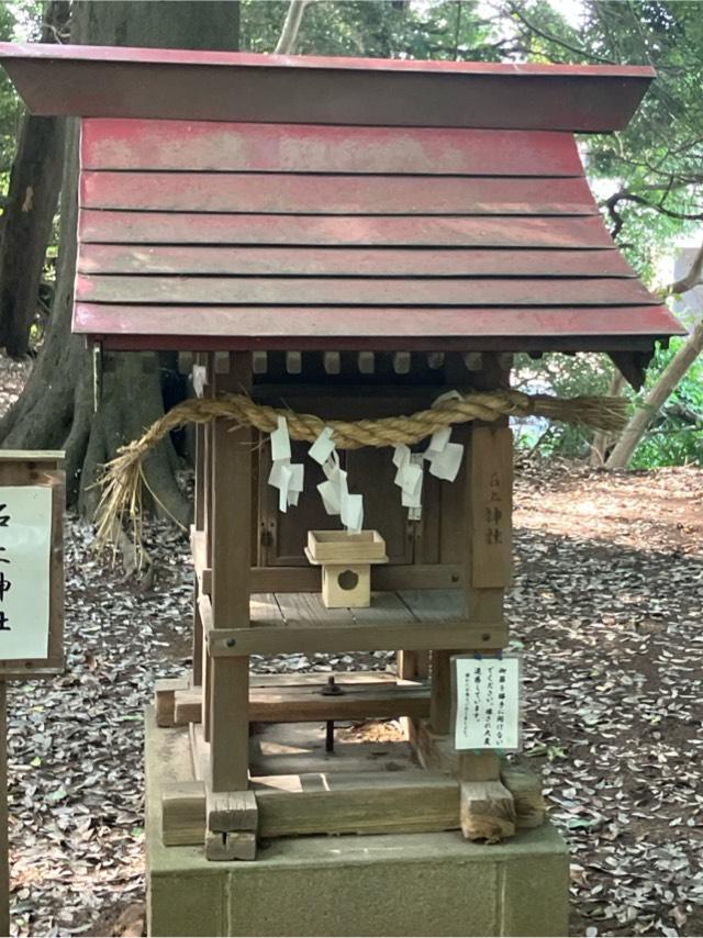 石上神社(氷川女體神社境内社)の参拝記録3
