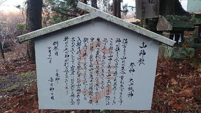 長野県上田市真田町長4473-2 山神社(山家神社境内社)の写真3
