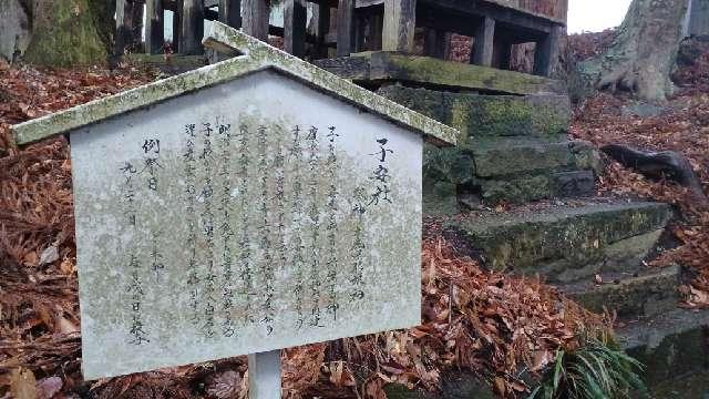 長野県上田市真田町長4473-2 子安社(山家神社境内社)の写真2