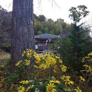 安房高野山　妙音院の参拝記録(しろぎすさん)