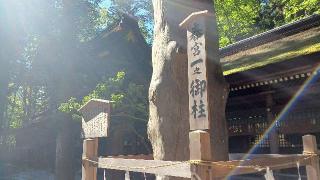 若宮社（諏訪大社下社春宮摂社）の参拝記録(SFUKUさん)