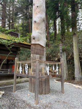 若宮社（諏訪大社下社春宮摂社）の参拝記録(⛩️🎠🐢まめ🐢🎠⛩️さん)