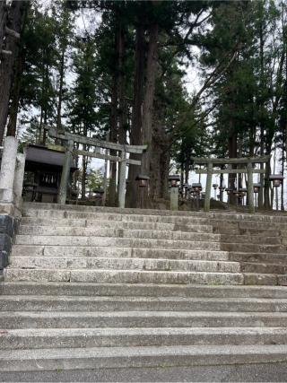 八幡社（諏訪大社下社秋宮末社）の参拝記録(⛩️🎠🐢まめ🐢🎠⛩️さん)