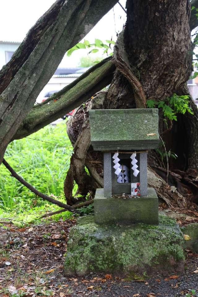 溝上社（諏訪大社上社前宮）の参拝記録3