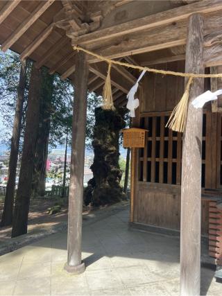 神馬舎〈駒形屋〉（諏訪大社上社本宮）の参拝記録(⛩️🎠🐢まめ🐢🎠⛩️さん)
