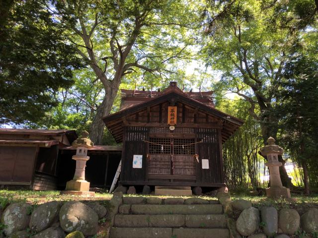 長野県南佐久郡佐久穂町平林字宮ノ上226番地 平林神社の写真1