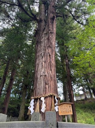 神楽殿（諏訪大社下社春宮）の参拝記録(コットンさん)