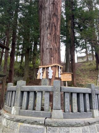 神楽殿（諏訪大社下社春宮）の参拝記録(⛩️🎠🐢まめ🐢🎠⛩️さん)