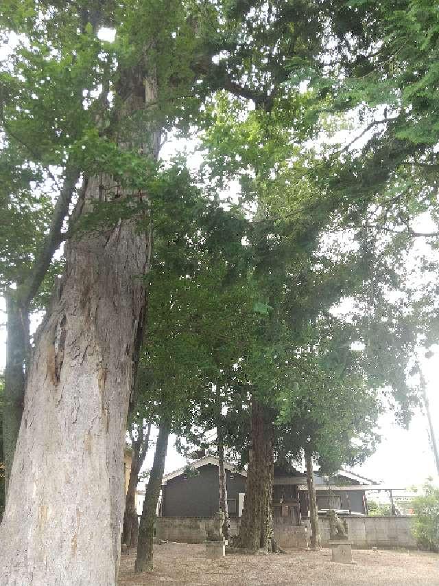 奈良県磯城郡田原本町唐古527 八坂神社 (八阪神社、田原本町唐古)の写真2