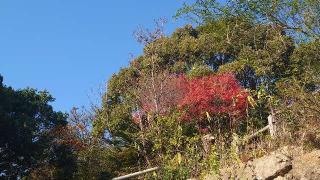 若宮光乃大神荒祭宮（熊野神社境内）の参拝記録(matsuyoshi49さん)