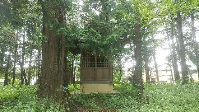 石神井神社(小針神社境内社)の参拝記録(りんごぐみさん)