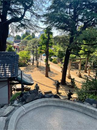 富士塚(品川神社境内社)の参拝記録(ハボタンはケールさん)