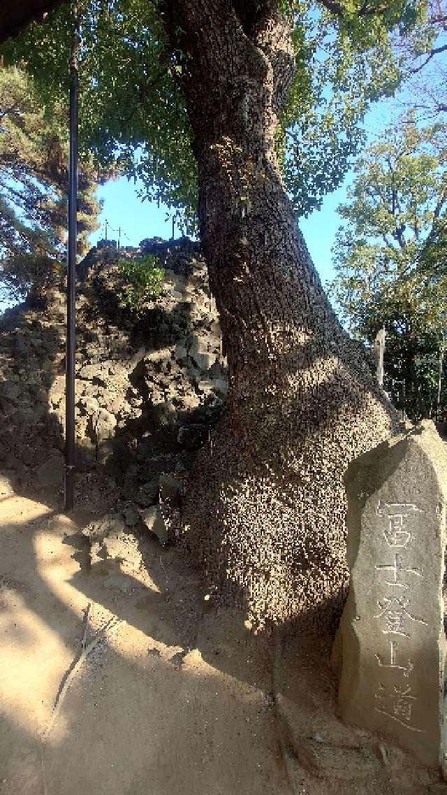 富士塚(品川神社境内社)の参拝記録6