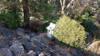 富士塚(品川神社境内社)の参拝記録(りょうまさん)