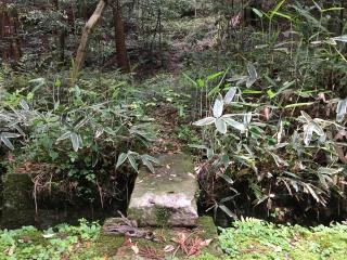 鵄神社の参拝記録(すったもんださん)