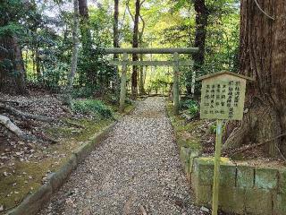 津東西社（鹿島神宮境内社）の参拝記録(tayohさん)