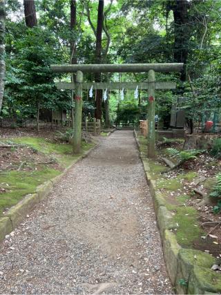 須賀社（鹿島神宮境内境内社）の参拝記録(⛩️🎠🐢まめ🐢🎠⛩️さん)