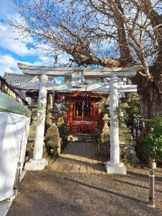 金刀比羅宮の参拝記録(まーさんさん)