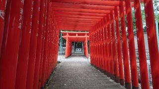 深川奥宮稲荷社（深川神社境内）の参拝記録(yukiさん)