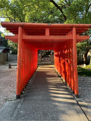 深川奥宮稲荷社（深川神社境内）の参拝記録(こーちんさん)