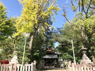陶彦社（深川神社境内）の参拝記録(じゃすてぃさん)