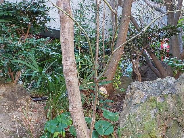 笠間稲荷の参拝記録3