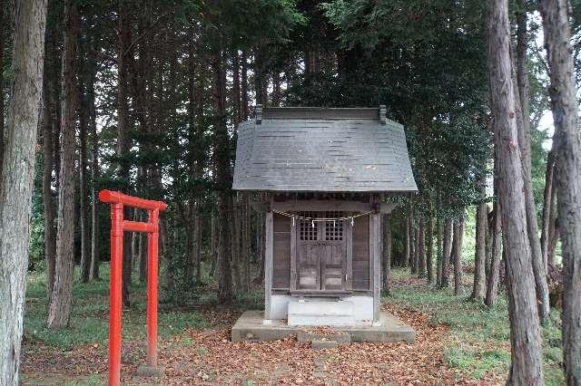 埼玉県坂戸市青木787-1 白髭神社の写真1