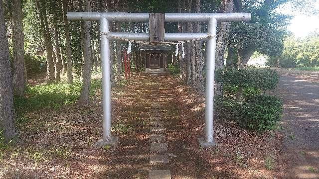 埼玉県坂戸市青木787-1 白髭神社の写真3