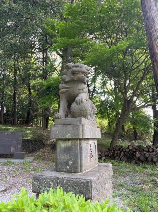 十二神社の参拝記録(⛩️🐍🐢まめ🐢🐍⛩️さん)