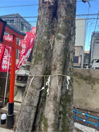 見送稲荷神社(櫻木神社境内社)の参拝記録(⛩️🐍🐢まめ🐢🐍⛩️さん)