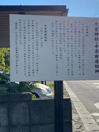 大宮神社の参拝記録(xiao-chiさん)