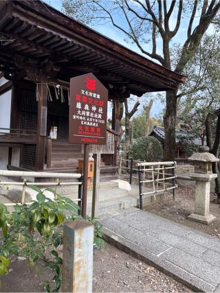 大将軍社(藤森神社)の参拝記録(⛩️🎠🐢まめ🐢🎠⛩️さん)