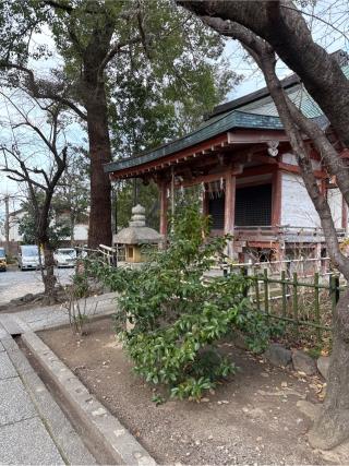 霊験天満宮(藤森神社)の参拝記録(⛩️🎠🐢まめ🐢🎠⛩️さん)