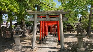 槇本稲荷神社(豊国神社)の参拝記録(すったもんださん)