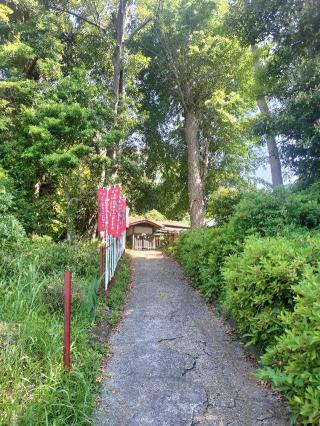 坂中山 観音寺の参拝記録(さとみさん)