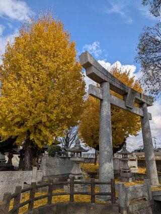 井手神社の参拝記録(こまいぬおさん)