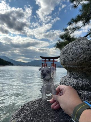 大鳥居（厳島神社）の参拝記録(エムフィリさん)