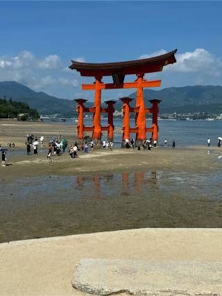 大鳥居（厳島神社）の参拝記録(こーちんさん)