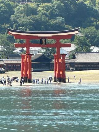 大鳥居（厳島神社）の参拝記録(こーちんさん)