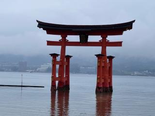 大鳥居（厳島神社）の参拝記録(ひろたかさん)