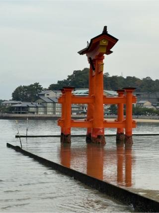 大鳥居（厳島神社）の参拝記録(満次さん)