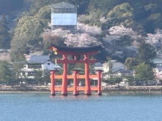 大鳥居（厳島神社）の参拝記録(ブロディさん)
