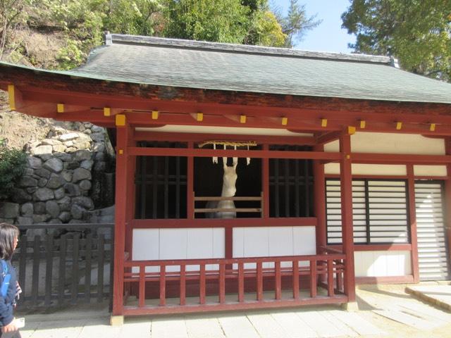 神馬舎（厳島神社）の参拝記録(Takeru Yamatoさん)