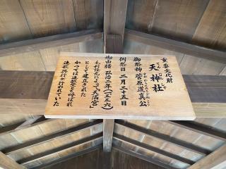 天神社（厳島神社摂社）の参拝記録(チョコバナナさん)