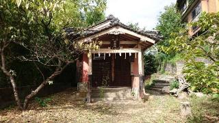 桃咲稲荷神社の参拝記録(yukiさん)