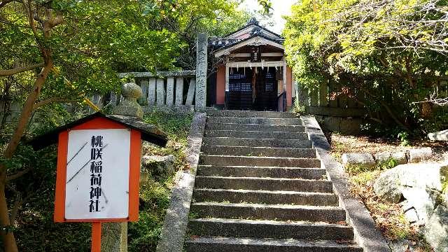 桃咲稲荷神社の参拝記録(さすらいきゃんぱさん)