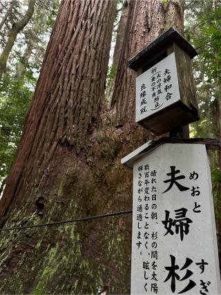 若宮神社(若狭彦神社境内社)の参拝記録(やよいさん)